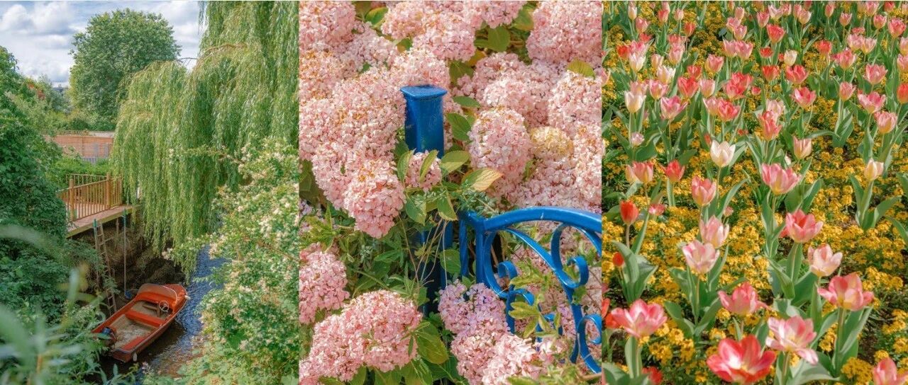 读者来稿｜分享你们看过的世间美景