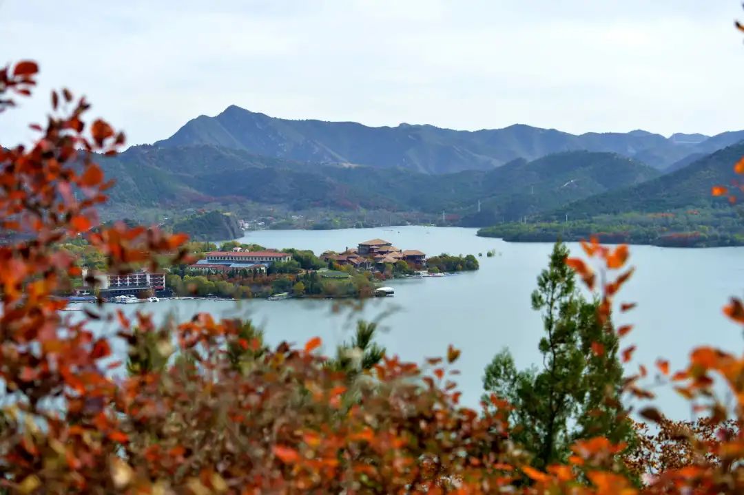 金海湖晚秋水岸红叶风景独好 全网搜