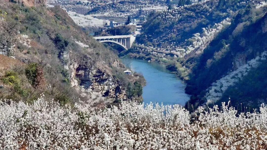 3月最佳旅行地 | 7元嗦粉、5元坐船、0元看花海，中国有的是好看又好吃的地方！