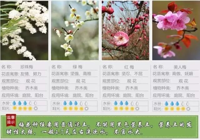 50 花 名称 部位 美しい花の画像