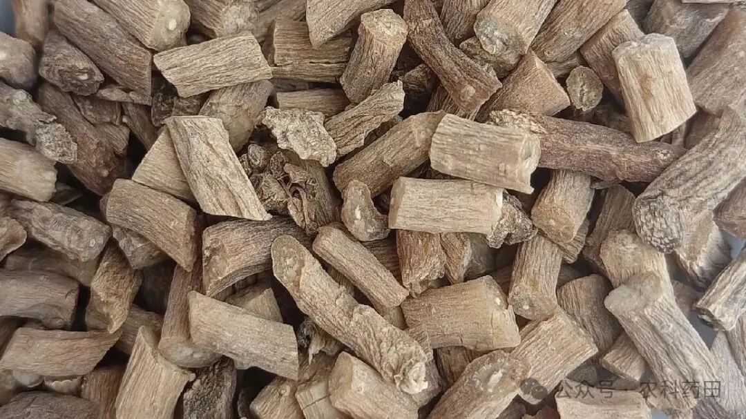 这两个品种行情看涨?