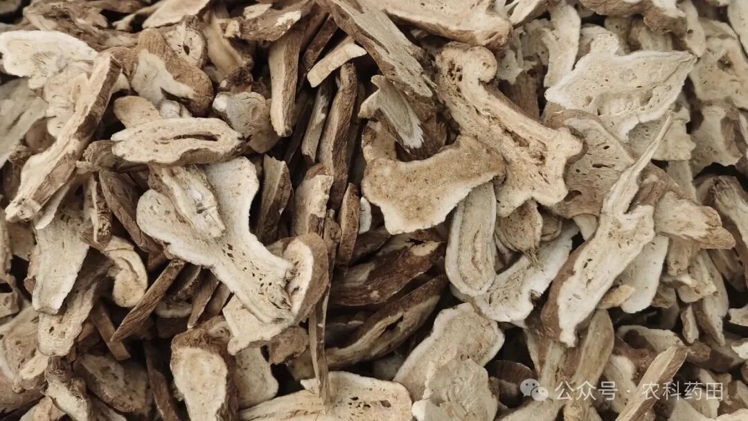 药农注意！这十种药材价格“严重跳水”，别再盲目种植了！