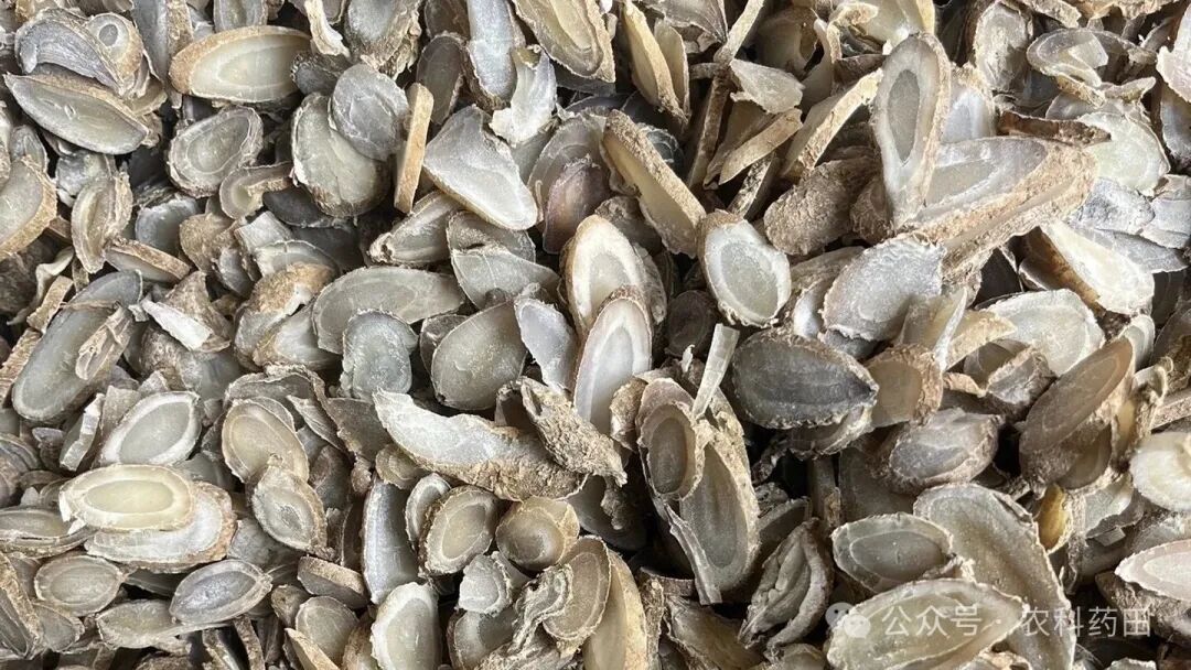 8种药材价格滑坡:种植户要当心了！