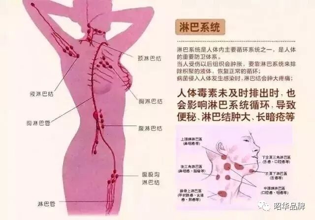 正常的腋下淋巴是凹进去的 昭华品牌 微信公众号文章阅读 Wemp