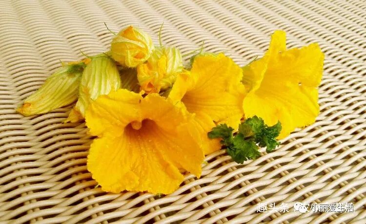 南瓜花能清利湿热 消肿散瘀 你知道南瓜花是什么样的吗 小丽爱生活 微信公众号文章阅读 Wemp