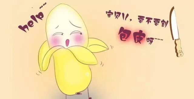 手术吻合器什么我院整形外科私密手术之包皮吻合器环切科普_https://www.jmylbn.com_新闻资讯_第2张