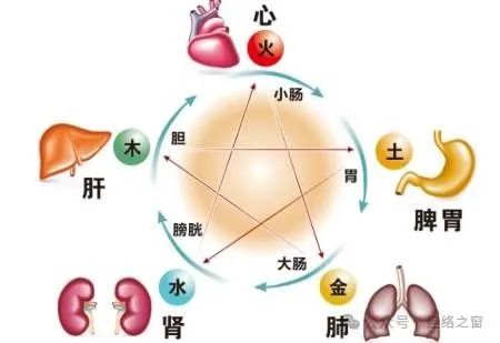 非常全面的五脏（心、肝、脾、肺、肾）调养方法，强烈建议收藏