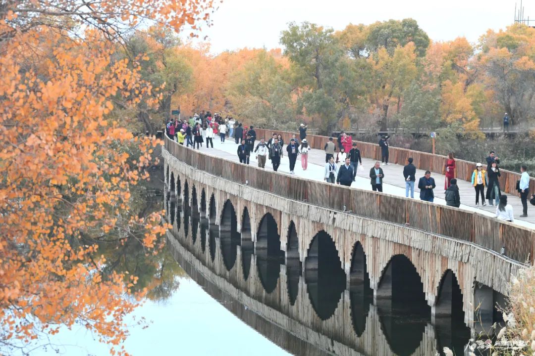 巴楚红海景区简介图片