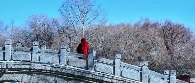 不要赌天意,不要猜人心!