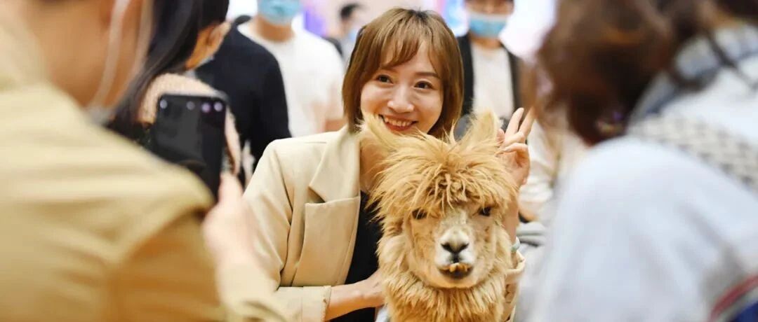 把热爱做成事业：那些选择不做“打工人”的青年