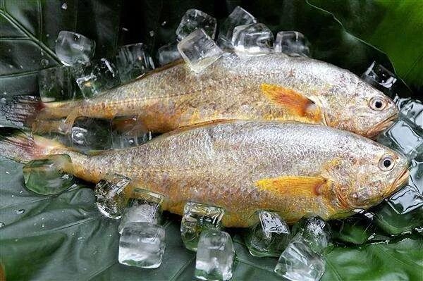 南通美味再上央视！这次聚焦的是如东本港海鲜