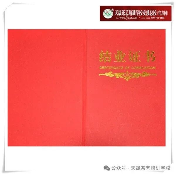 第217期天晟中国茶学系统培训班2026年3月10日正式上课（图）(图4)