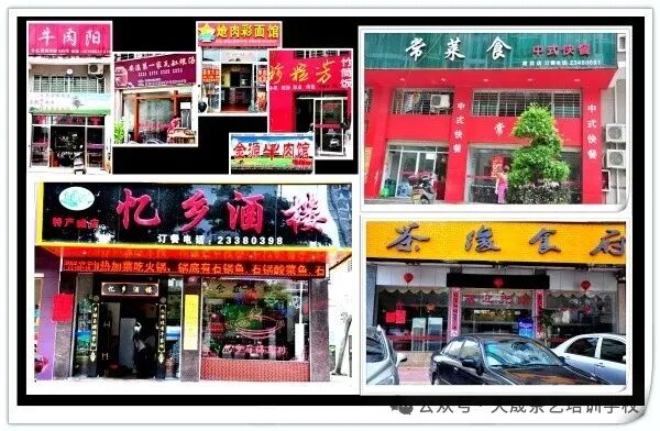 第217期天晟中国茶学系统培训班2026年3月10日正式上课（图）(图6)