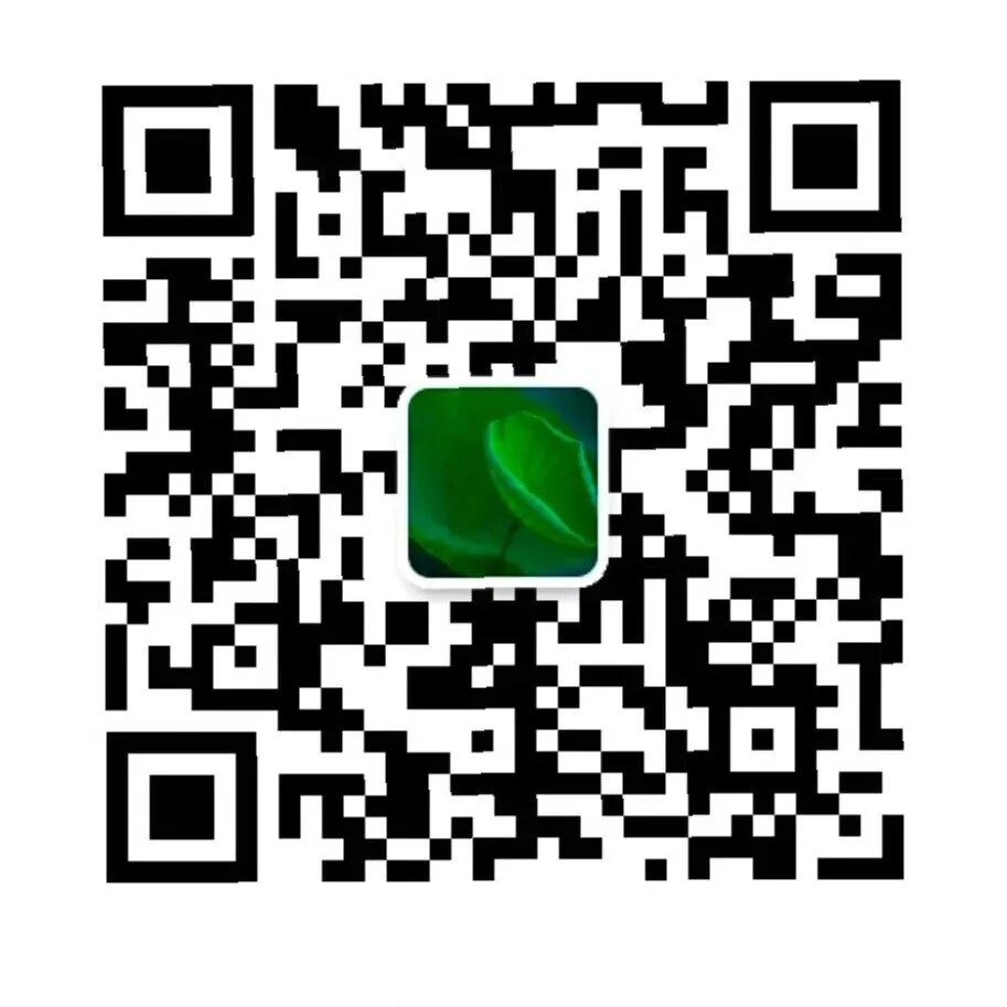 禅修 | 觉醒阁十月底浙江宁波四明山游学静心营10.29-10.31