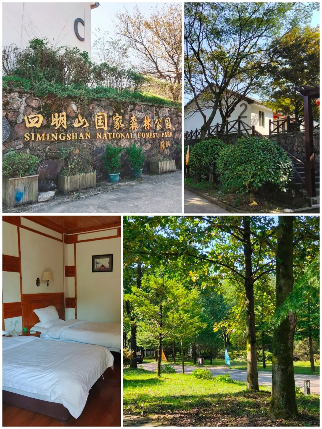 禅修 | 觉醒阁十月底浙江宁波四明山游学静心营10.29-10.31