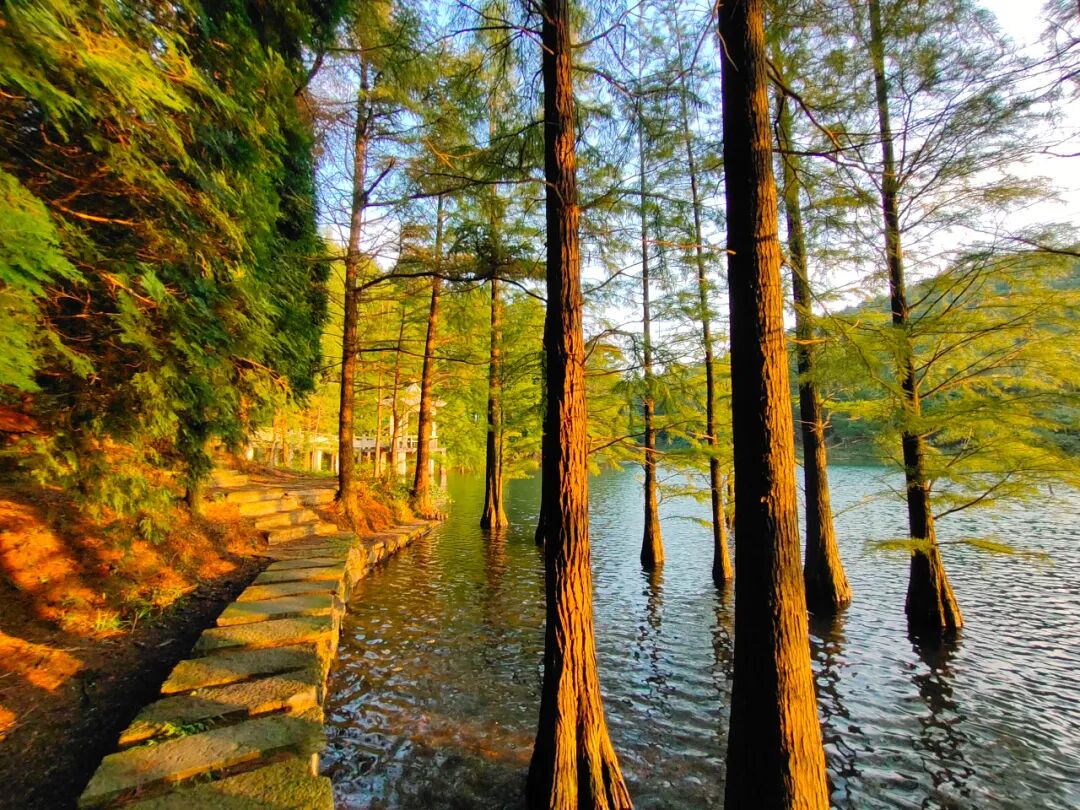 禅修 | 觉醒阁十月底浙江宁波四明山游学静心营10.29-10.31