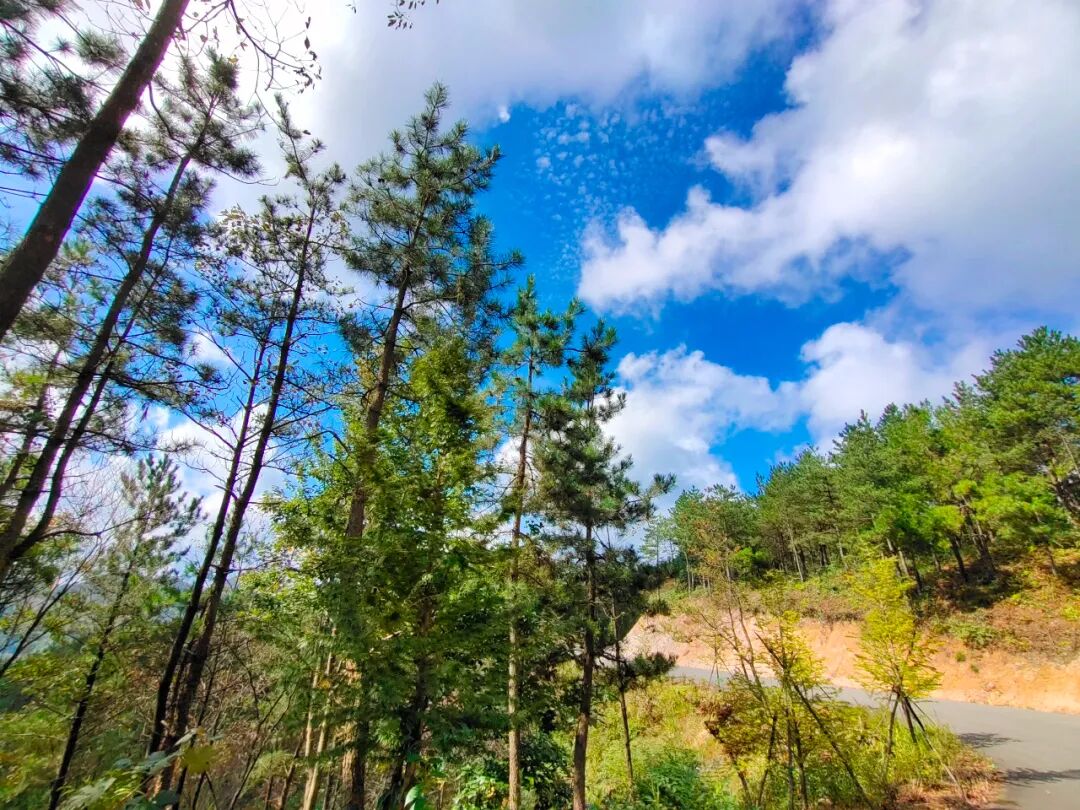 禅修 | 觉醒阁十月底浙江宁波四明山游学静心营10.29-10.31