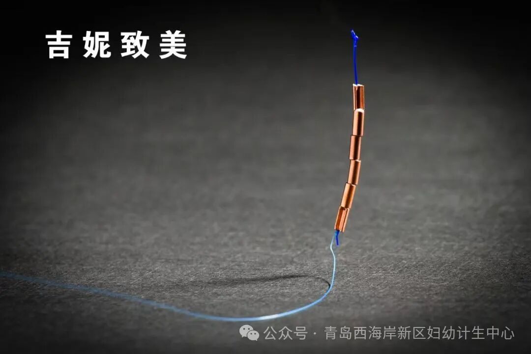 吉妮致美节育环怎么样女性专栏｜“不离不弃”的好伙伴——吉妮致美_https://www.jmylbn.com_新闻资讯_第3张