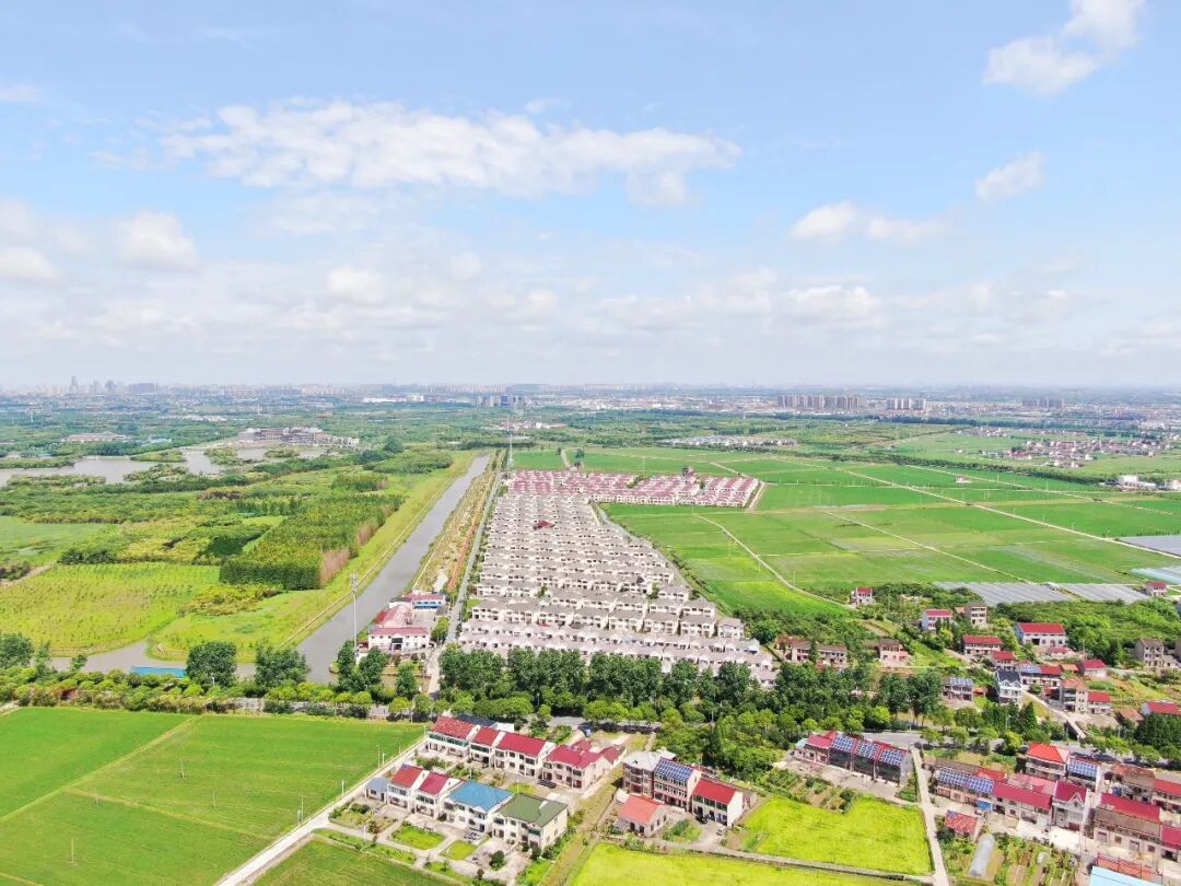 厉害奉城镇盐行村入围2019年度上海市农村社区建设试点示范村