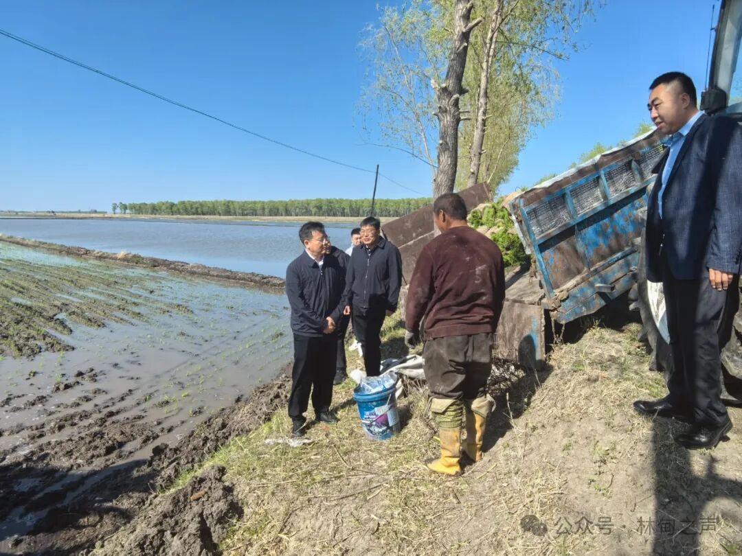 【本地要闻】张继祥开展巡河巡林巡田暨调研春耕工作 - 林甸县人民