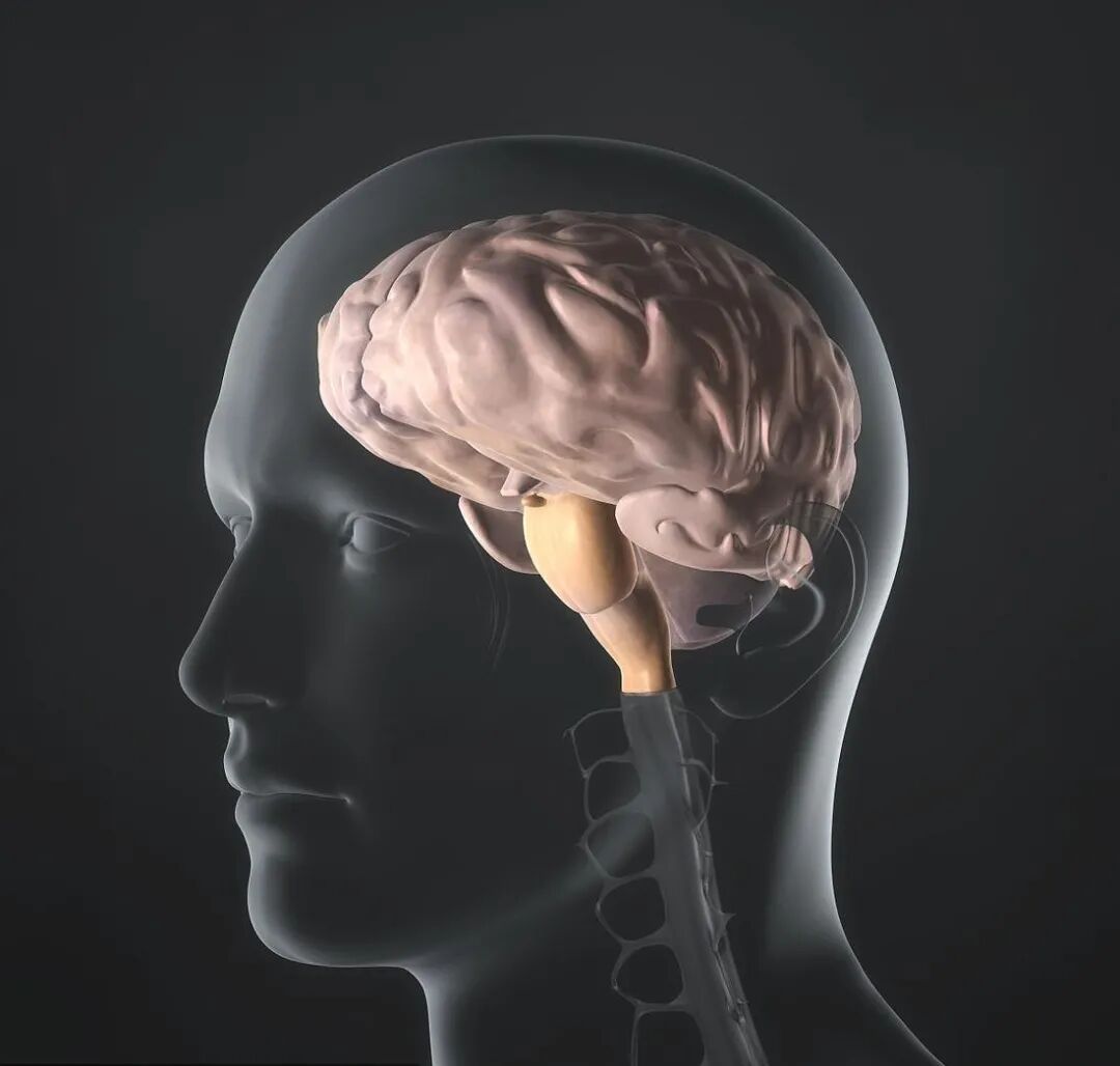 德维可怎么用德维可外用结合TDP照射对颅脑外伤伴皮肤擦伤患者症状改善情况的影响_https://www.jmylbn.com_新闻资讯_第2张