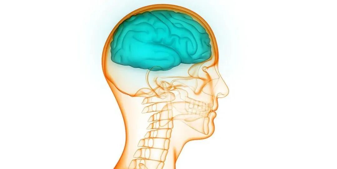 德维可怎么用德维可外用结合TDP照射对颅脑外伤伴皮肤擦伤患者症状改善情况的影响_https://www.jmylbn.com_新闻资讯_第4张