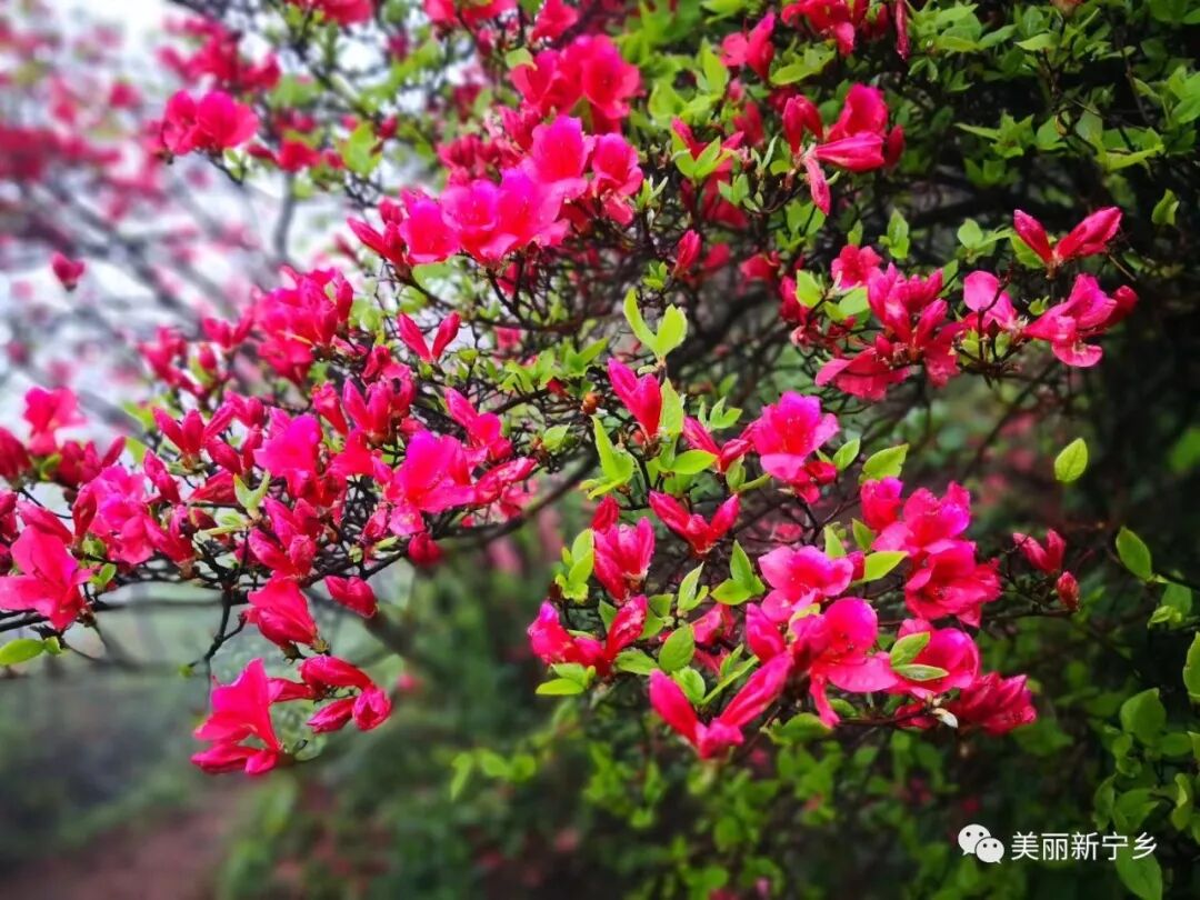 花开花落悠悠岁月什么歌_花开花落花开花落悠悠岁月长长的河_花开花落悠悠岁月是什么意思