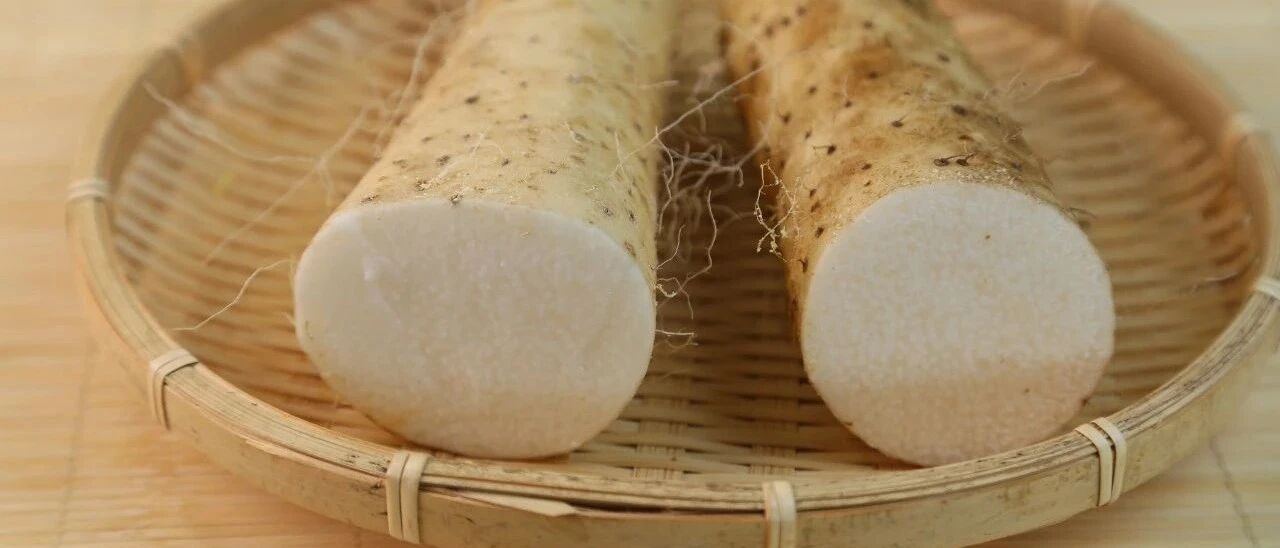 你还敢吃山药吗，长期吃山药的人变成了这样……