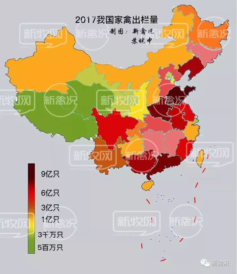 家禽大数据丨这些地区是今后养殖潜力股! 家禽大数据丨这些地区是今后养殖潜力股!