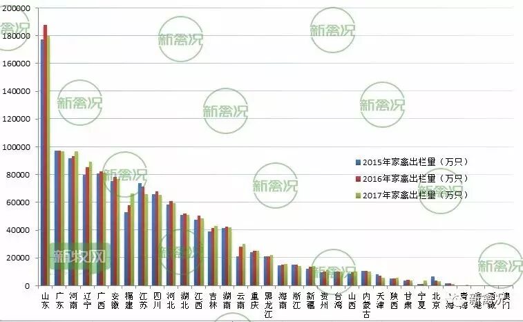 家禽大数据丨这些地区是今后养殖潜力股！