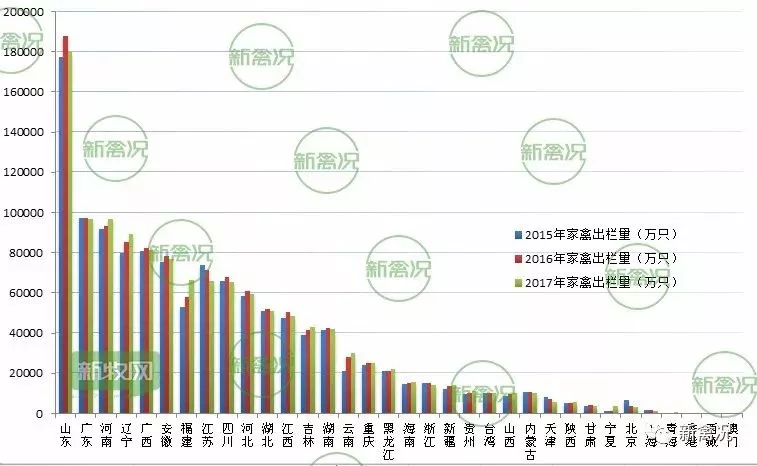 家禽大数据丨这些地区是今后养殖潜力股! 家禽大数据丨这些地区是今后养殖潜力股!