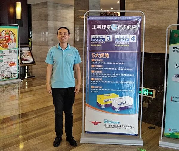 网床养鸭户苍蝇控制的经验分享