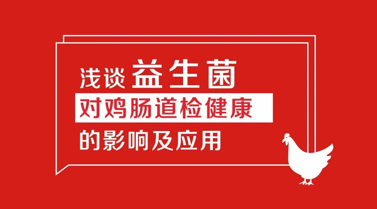 浅谈益生菌对鸡肠道检健康的影响及应用