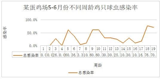 籠養(yǎng)蛋雞球蟲病防控手段的探討