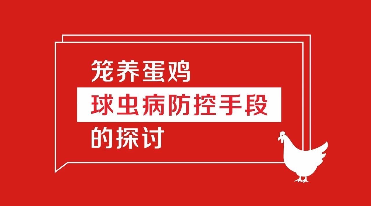 籠養(yǎng)蛋雞球蟲病防控手段的探討
