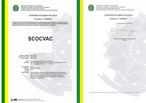 正典球苗英文商標在巴西成功注冊