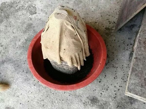 网床养鸭户苍蝇控制的经验分享