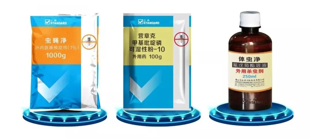 网床养鸭户苍蝇控制的经验分享