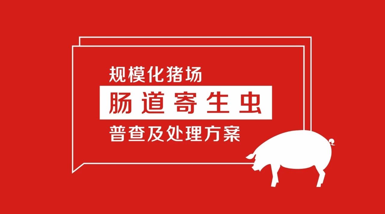规模化猪场肠道寄生虫普查及处理方案 规模化猪场肠道寄生虫普查及处理方案