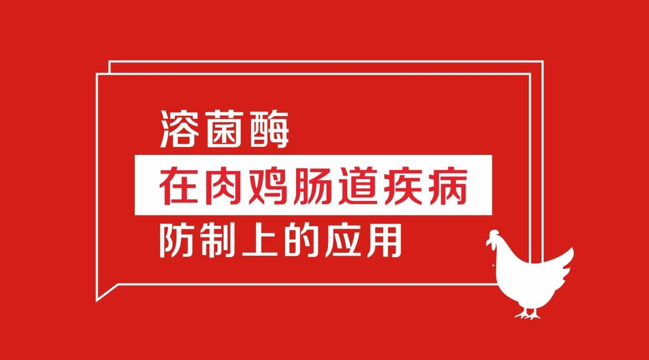 禁抗形势下鸡坏死性肠炎防制手段的探讨