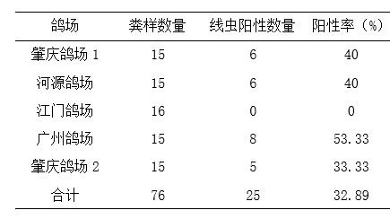 鸽肠道寄生虫病防制措施探讨