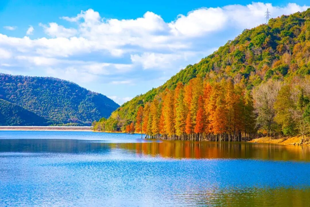 山海万象客户端