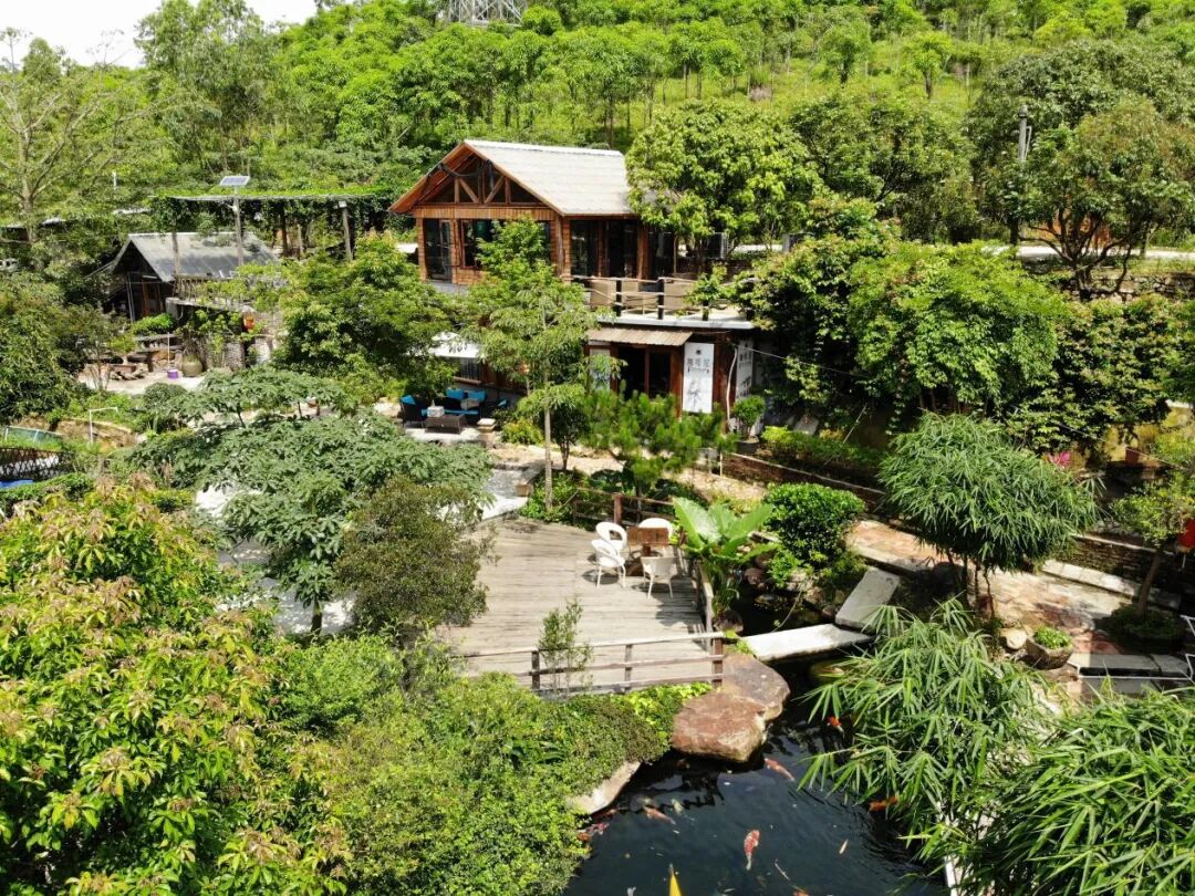 江门台山这些民宿实力圈粉