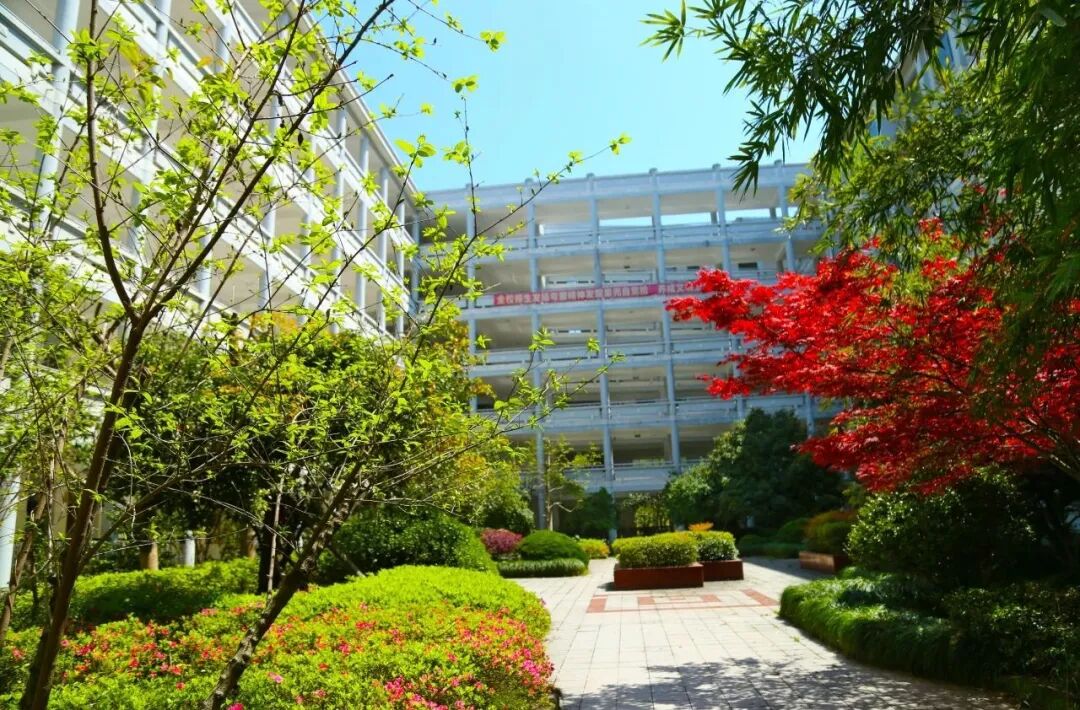 2022年安吉上墅私立高级中学面向丽水地区招生信息_悉尼_新闻_华人