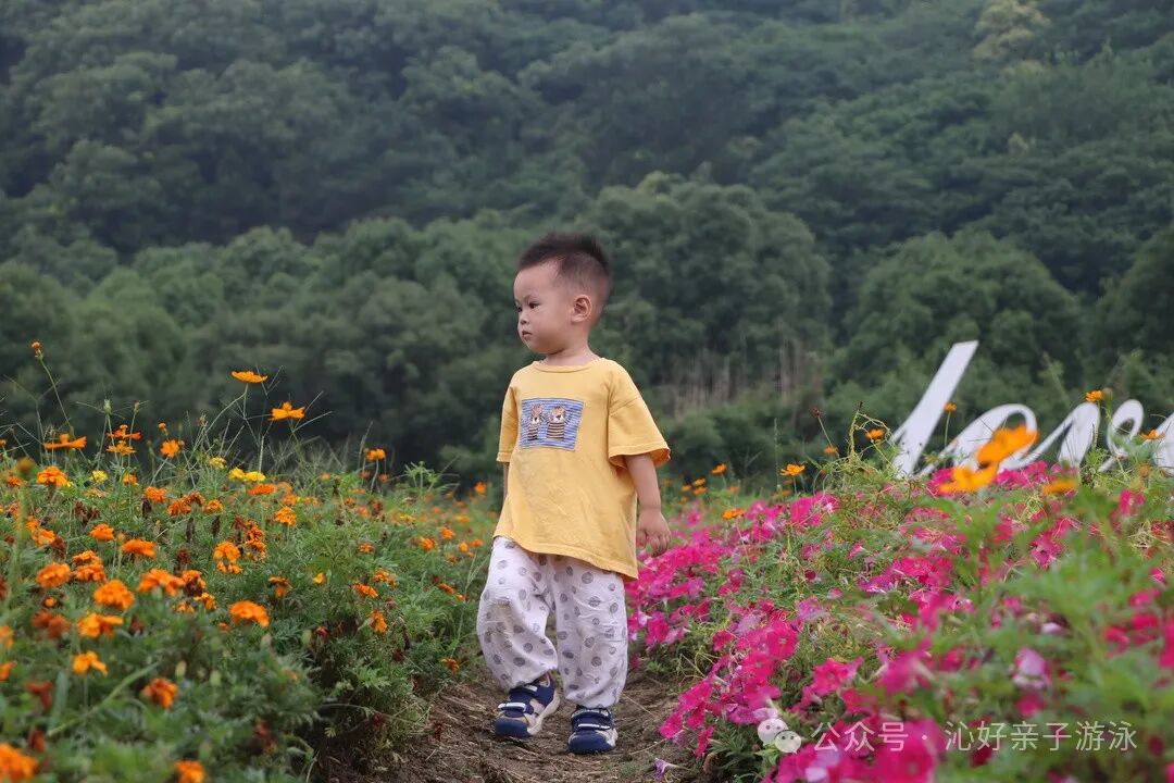 640_wx_fmt=jpeg&from=appmsg&tp=webp&wxfrom=5&wx_lazy=1&wx_co=1.webp (7).jpg