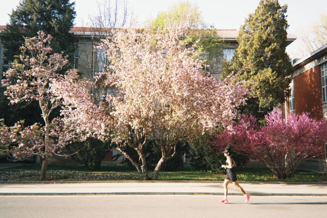 2026-04-03 170214.jpg