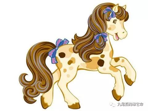 90年属马_马属年龄今年多大_马属年龄