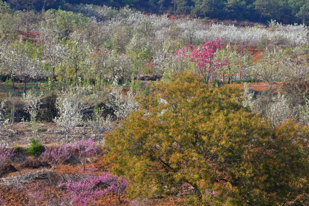 DSC_3632.JPG