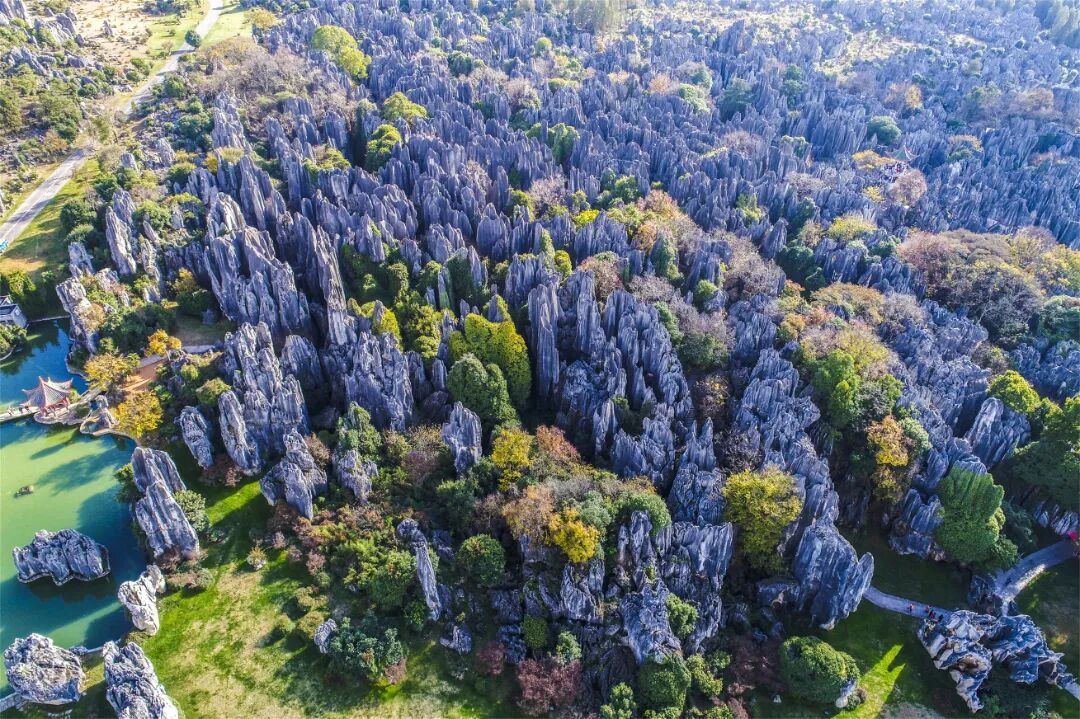 图4-6 石林风景区（文联-李昆）.jpg