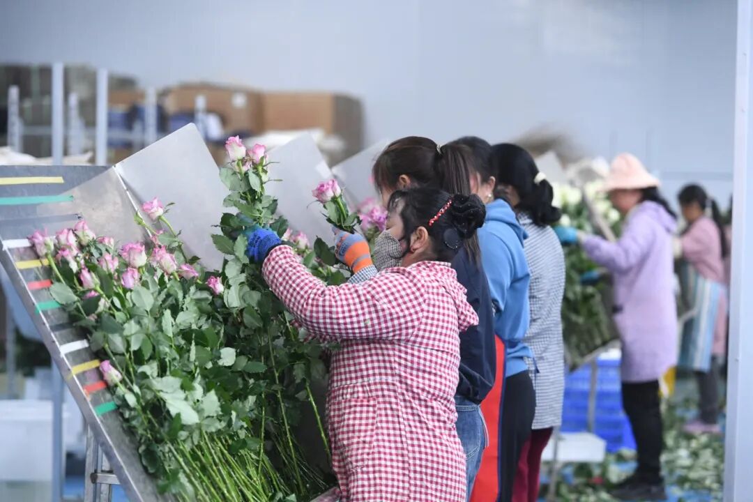 WSF_2782.JPG